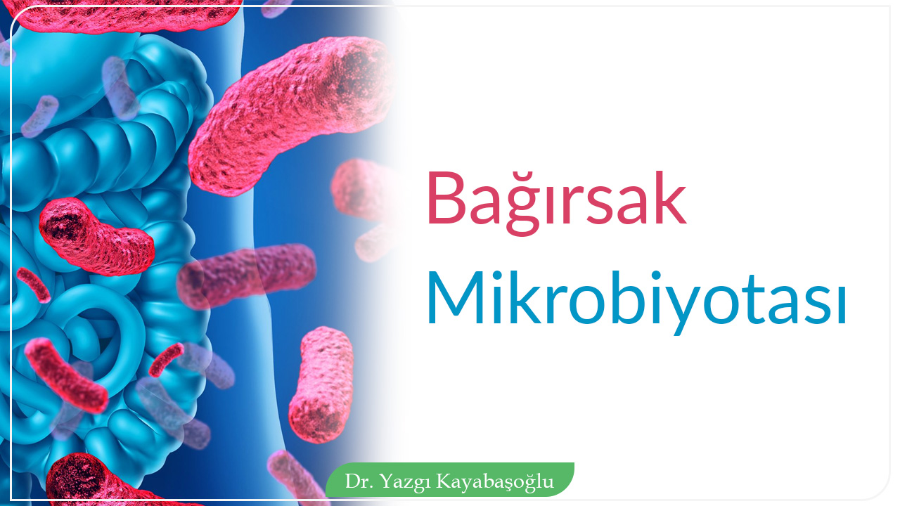 Bağırsak Mikrobiyotası